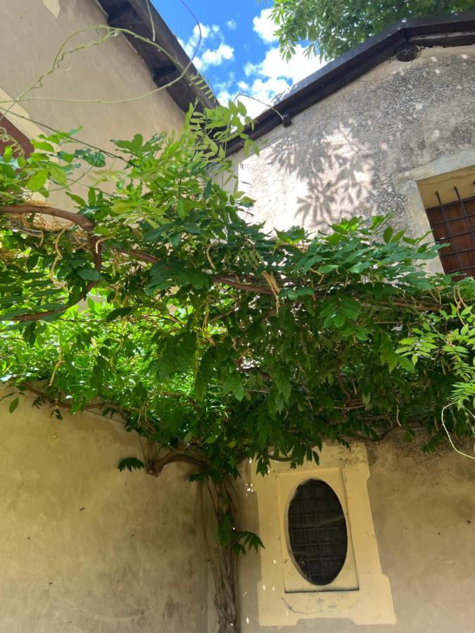 Bed and Breakfast Casa Barattini Zocchetta Экстерьер фото